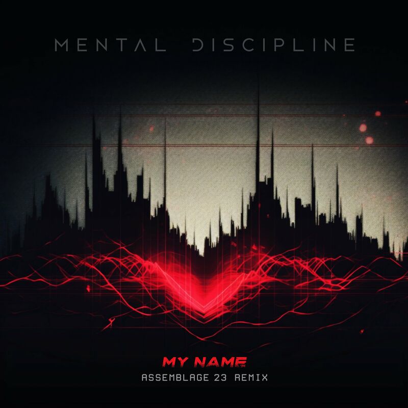 Mental Discipline - My Name (Assemblage 23 Remix)